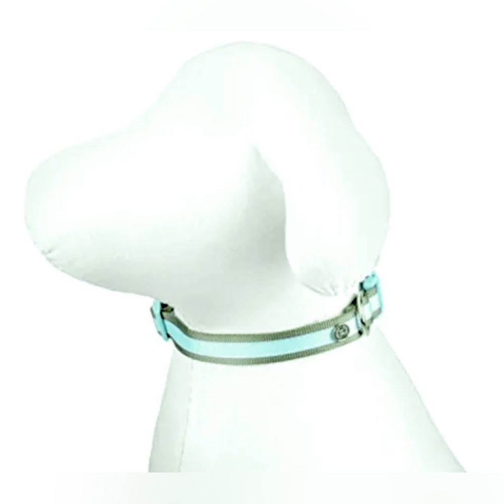NWT [Martha Stewart] Adjustable Nylon Dog Collar in Bowtie Mint, Multiple Sizes!
